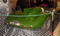 DSC01806.JPG
